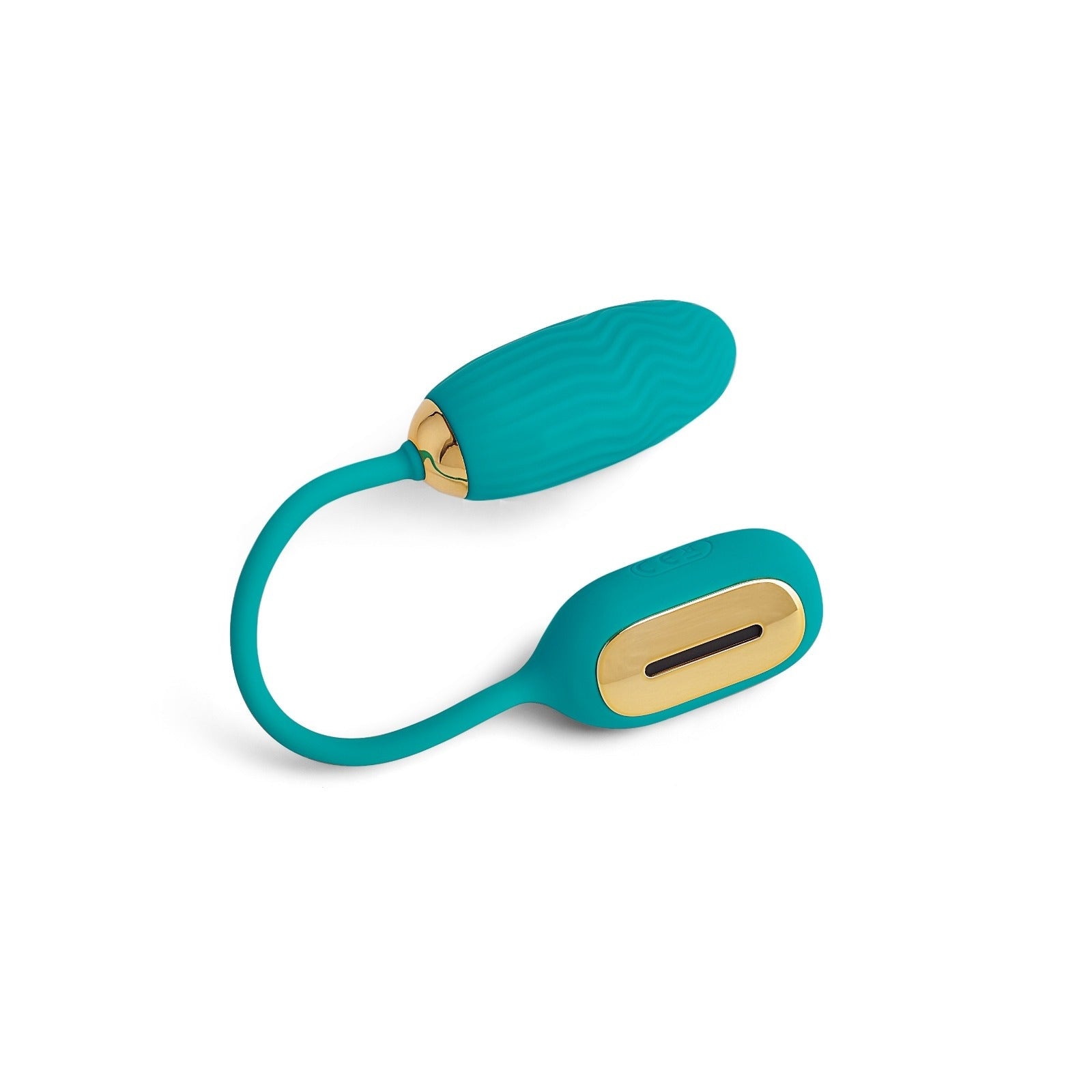 Wireless Audio Interactive Vibrator